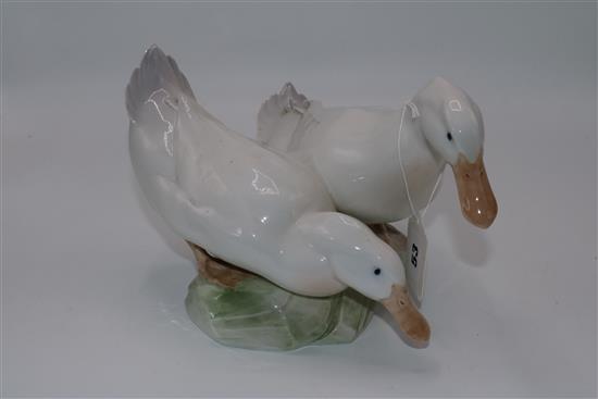 Large Copenhagen model of Aylesbury ducks
